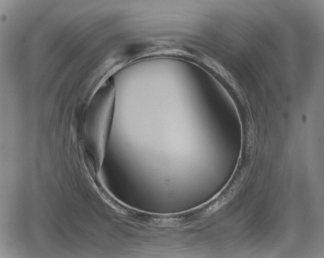 X0000062171377200512161240