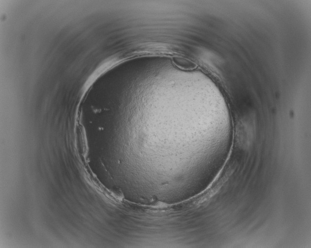 X0000062171378200512161240