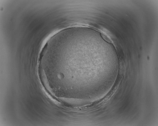 X0000062171379200512161240