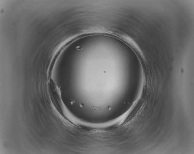 X0000062171380200512161240