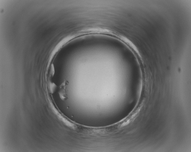 X0000062171381200512161240