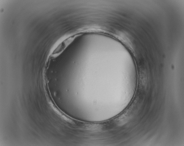 X0000062171382200512161240