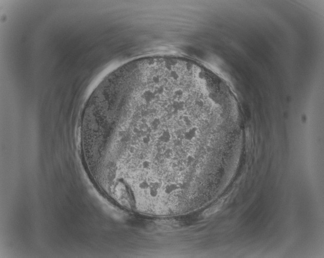 X0000062171383200512161240