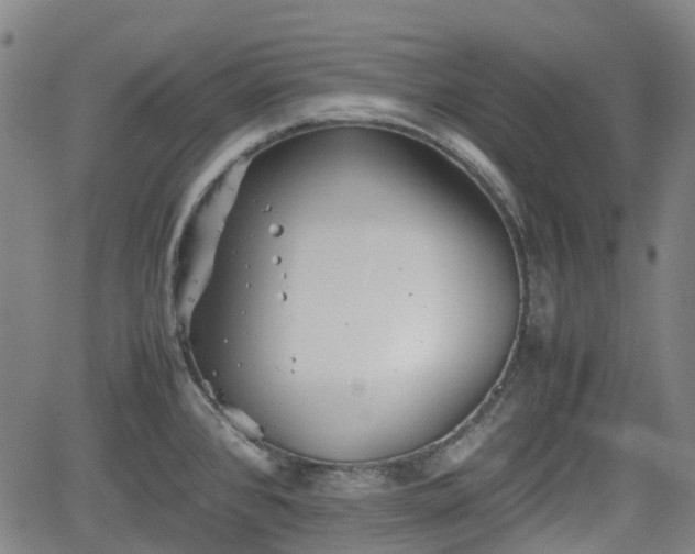 X0000062171384200512161240