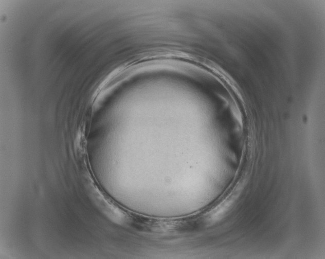 X0000062171385200512161240