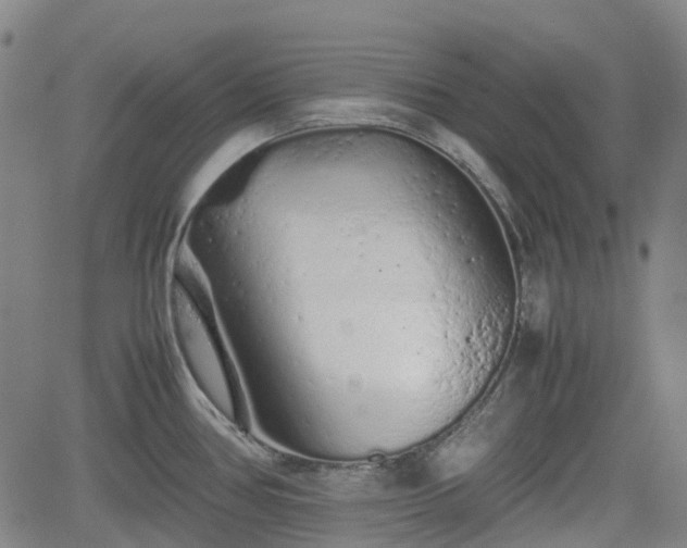 X0000062171386200512161240