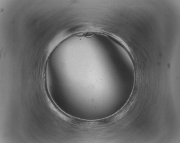 X0000062171387200512161240