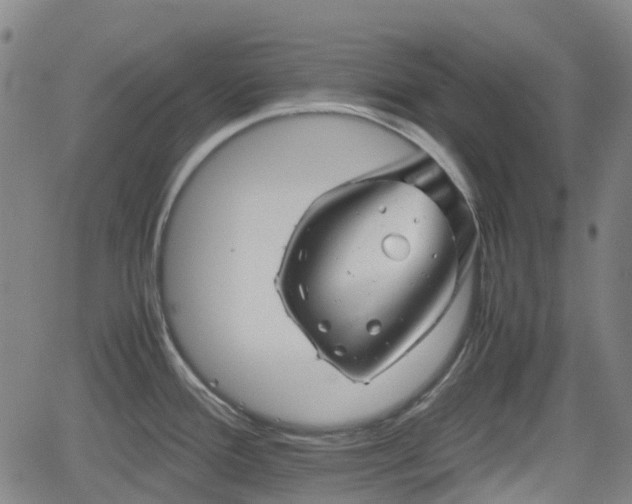 X0000062171388200512161240