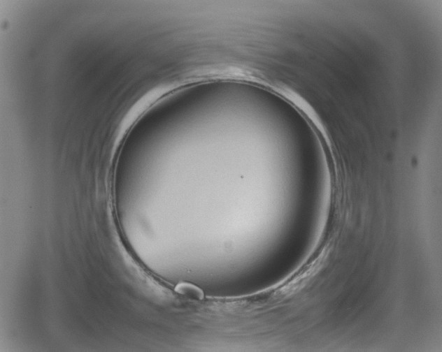 X0000062171389200512161240