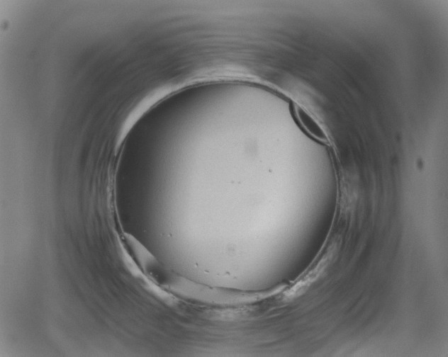 X0000062171390200512161240