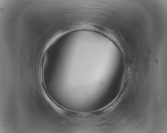 X0000062171391200512161240