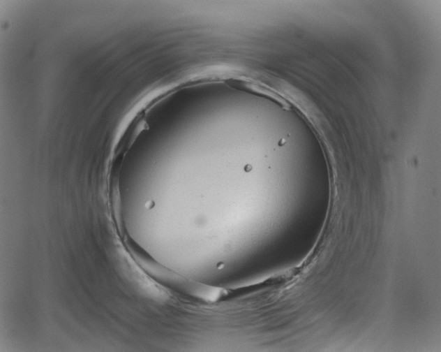 X0000062171392200512161240