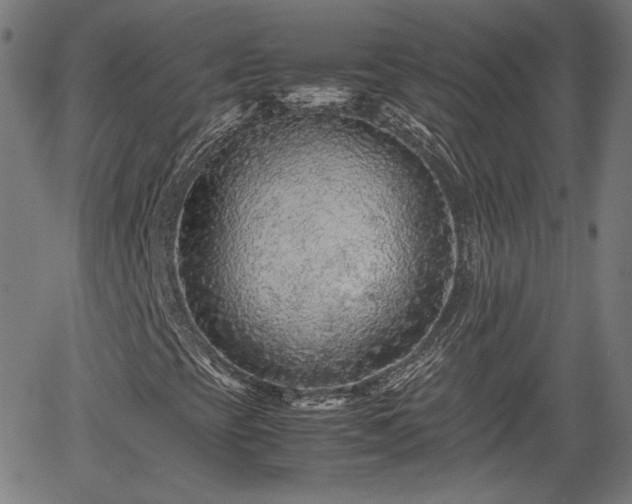 X0000062171393200512161239