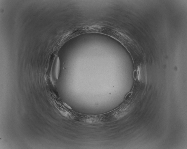 X0000062171395200512161239