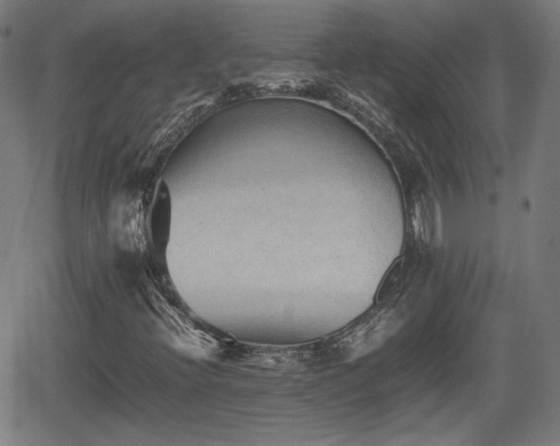 X0000062171396200512161239