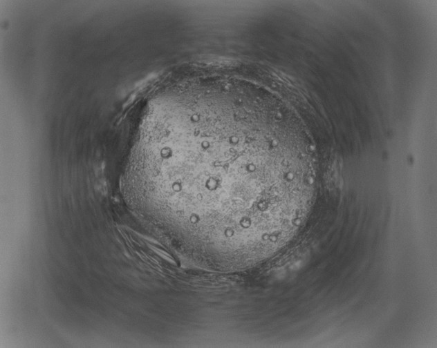 X0000062171397200512161239