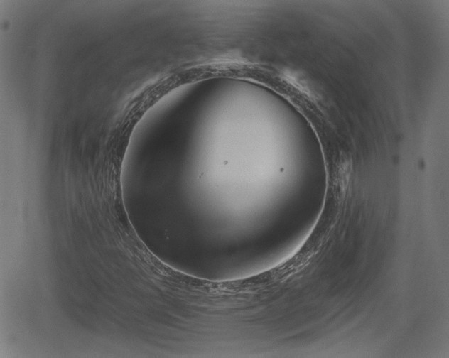 X0000062171398200512161239