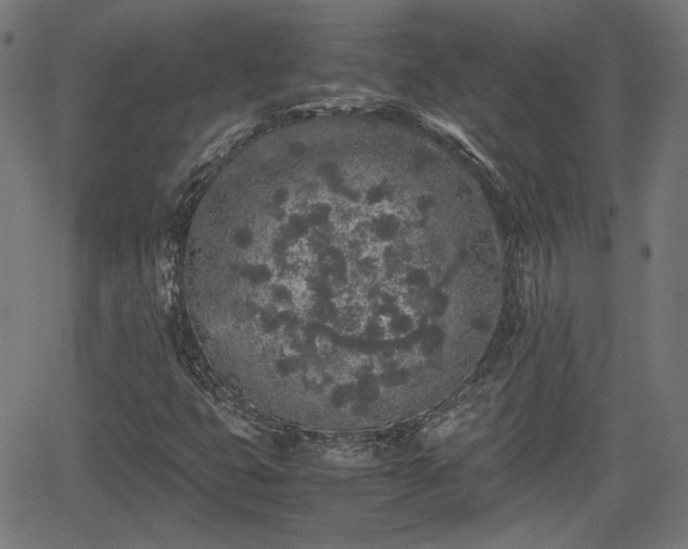 X0000062171399200512161239