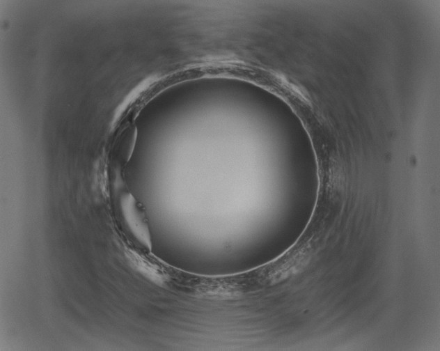 X0000062171400200512161239