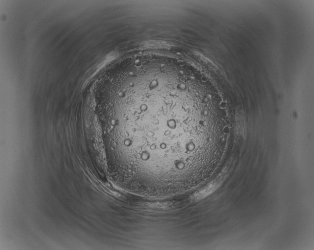 X0000062171401200512161239