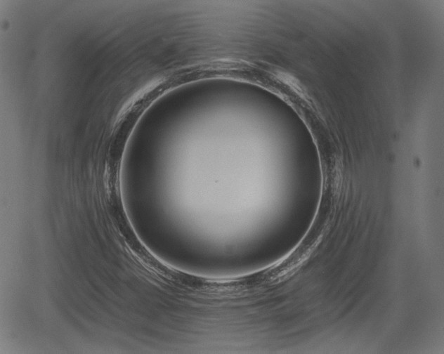 X0000062171402200512161239