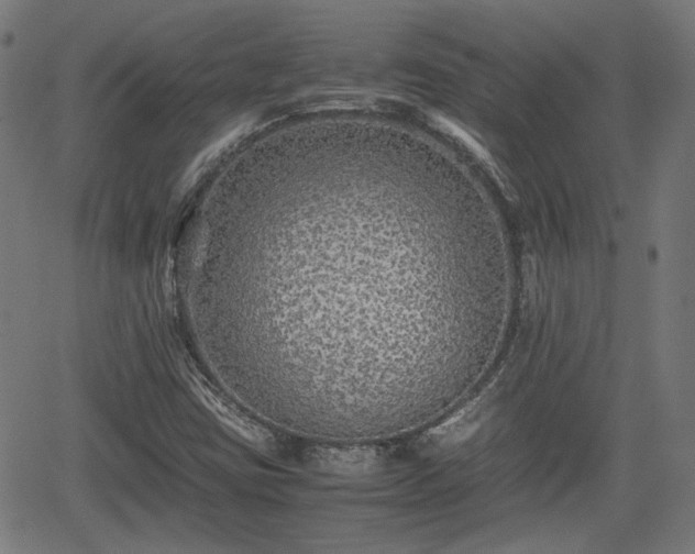 X0000062171403200512161239