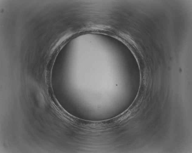 X0000062171404200512161239