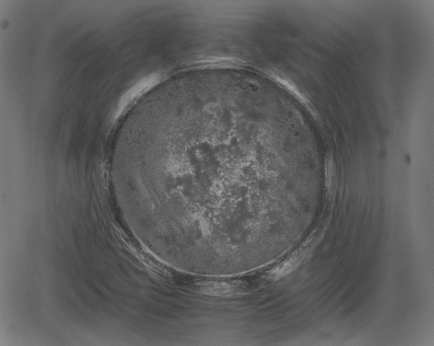 X0000062171405200512161239