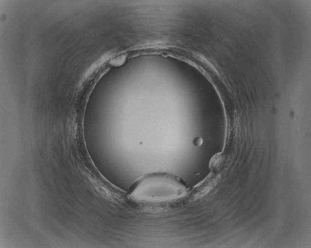 X0000062171406200512161239