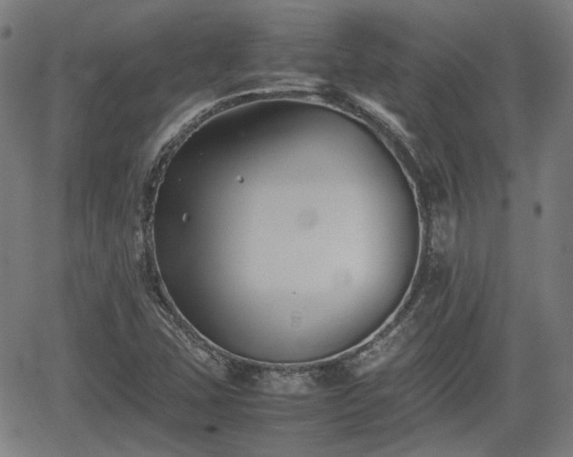 X0000062171407200512161239