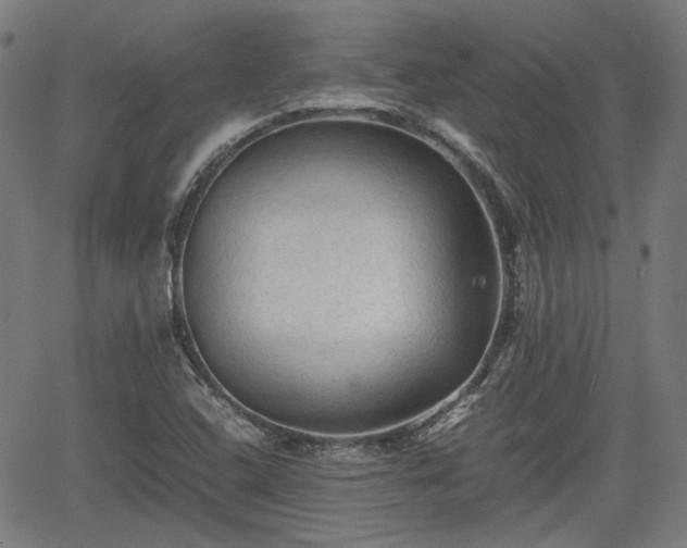 X0000062171408200512161239