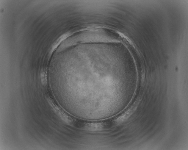 X0000062171409200512161239