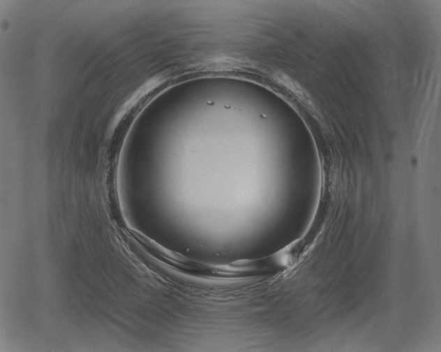 X0000062171410200512161239