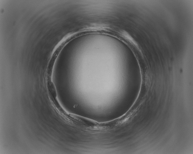 X0000062171412200512161239