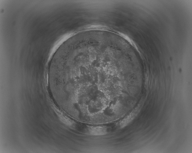 X0000062171413200512161239