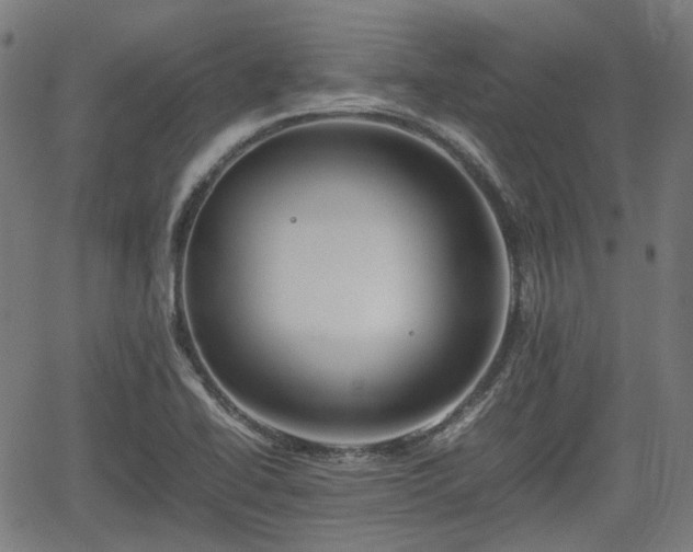 X0000062171414200512161239