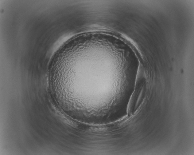 X0000062171415200512161239