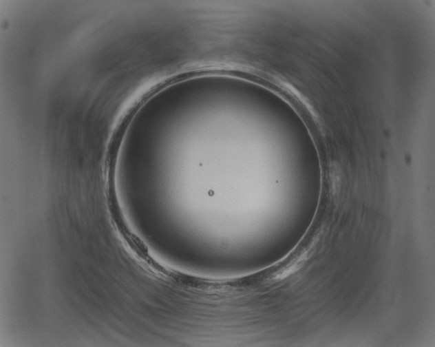 X0000062171416200512161239