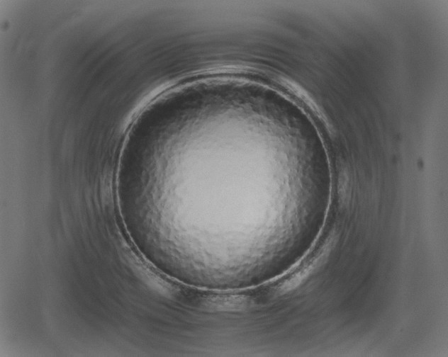 X0000062171417200512161239