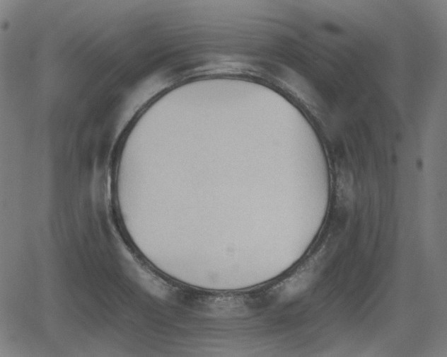 X0000062171418200512161239