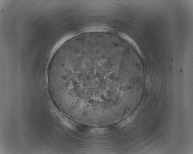 X0000062171419200512161239