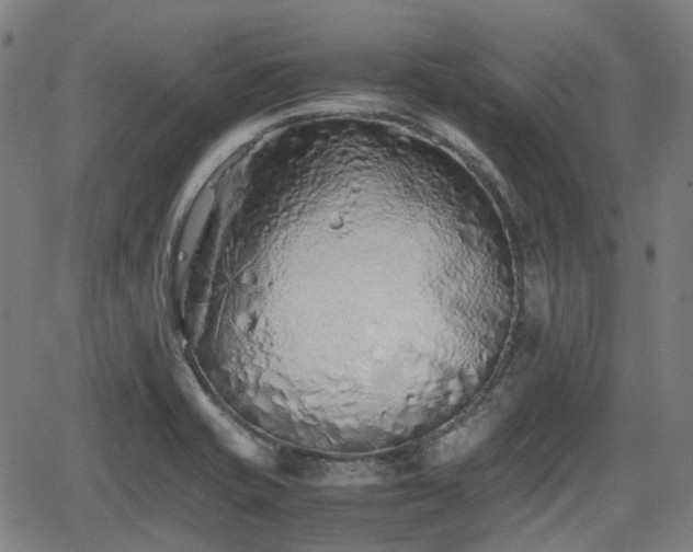 X0000062171421200512161239