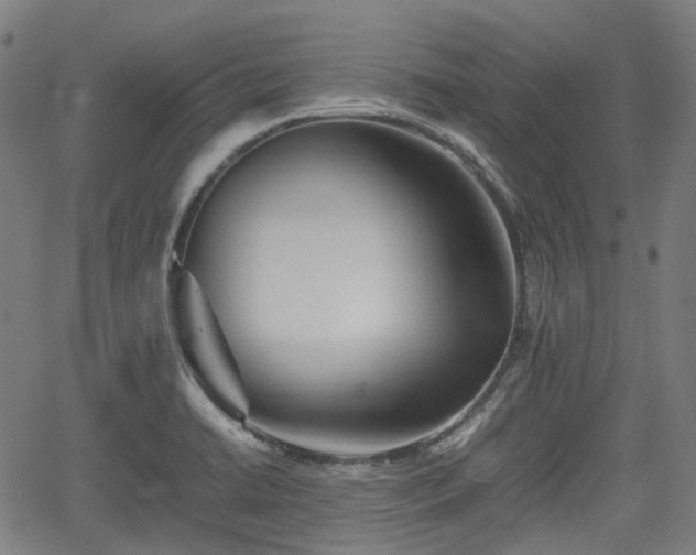 X0000062171422200512161239