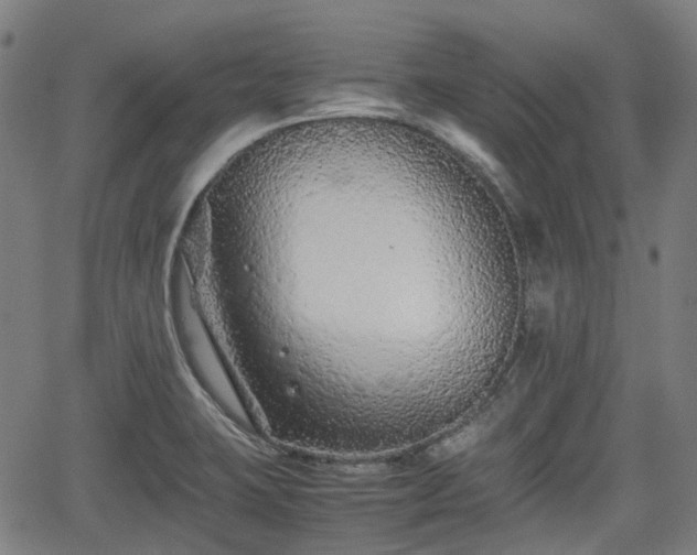 X0000062171423200512161239