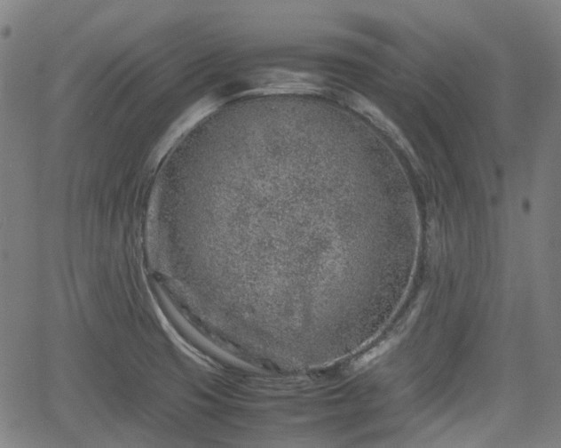 X0000062171425200512161239