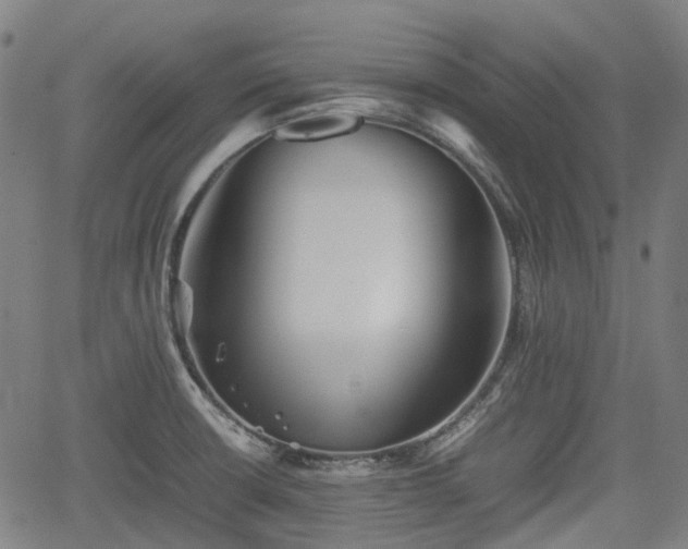 X0000062171426200512161239