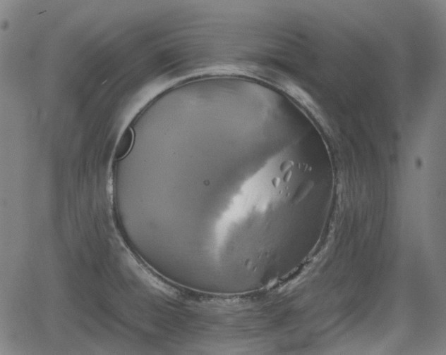 X0000062171428200512161239