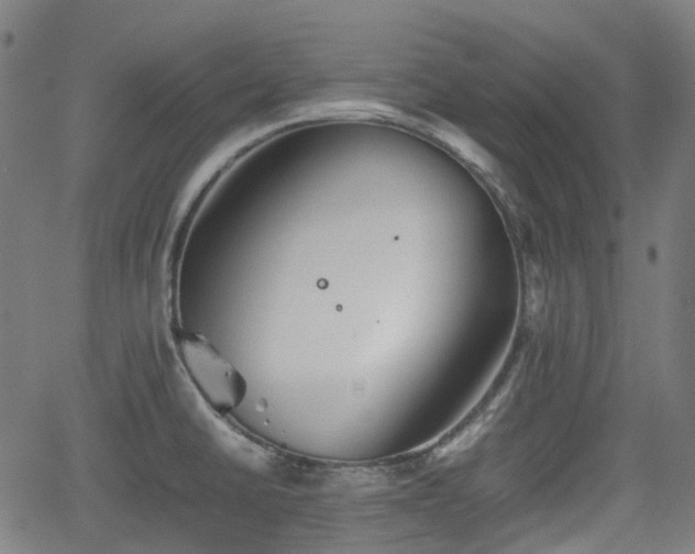 X0000062171430200512161239