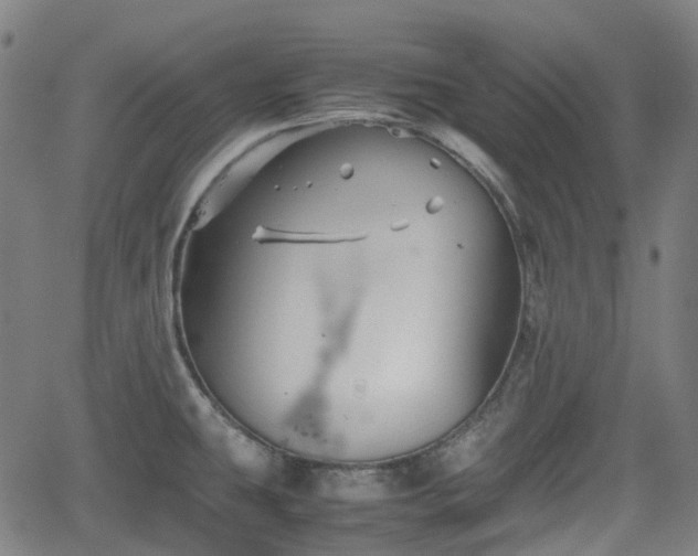 X0000062171431200512161239