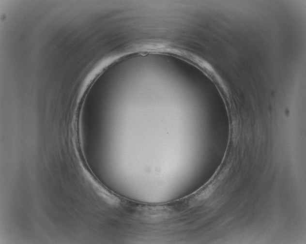 X0000062171432200512161239